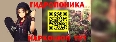 СК Донской