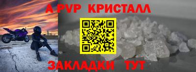 СК Донской