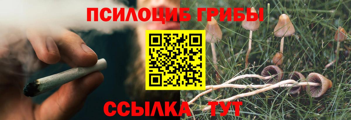 Псилоцибиновые грибы мицелий  как найти   Малоярославец  Вход с VPN 